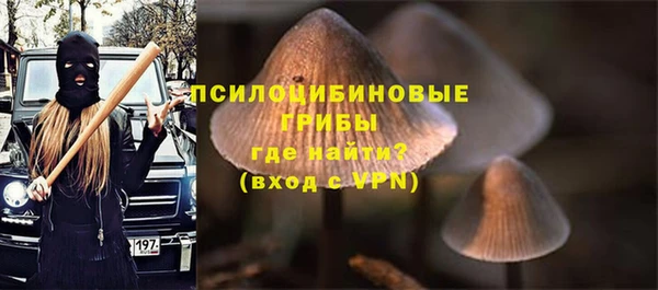 a pvp Гусиноозёрск