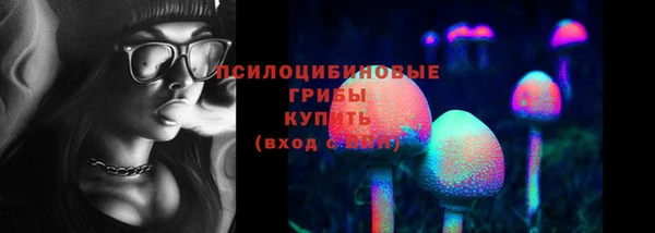 кокс Гусев