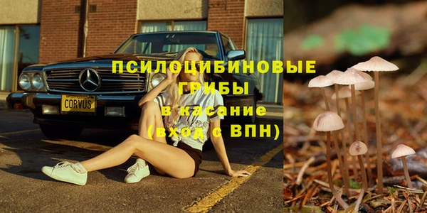 синтетический гашиш Гусь-Хрустальный