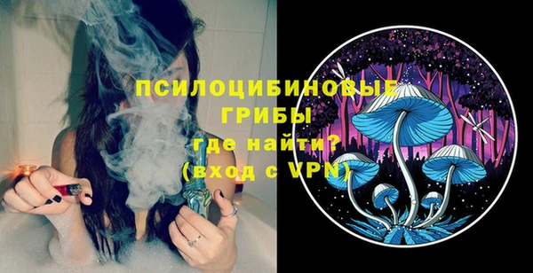 a pvp Гусиноозёрск